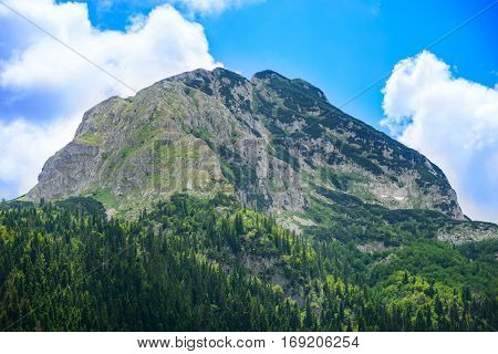 Beautiful Medjed (Bear) Peak with Green Forest. Mountains in the National Park Durmitor, Dinaric Alps, Montenegro