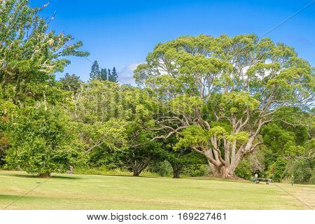 view of Kerikeri, Bay of Islands, New Zealand.