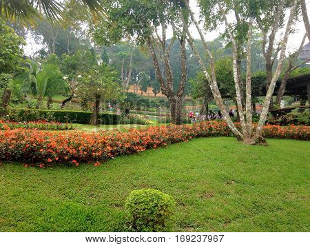 Beautiful flora garden and freshy mind on the Mountain.