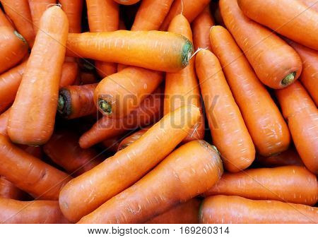 Organic carrots. Fresh food background. Healthy ingredient