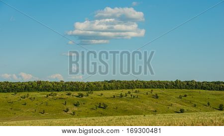rural landscape in the forest-steppe zone of Ukraine