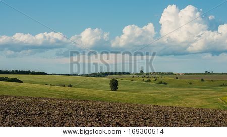 rural landscape in the forest-steppe zone of Ukraine