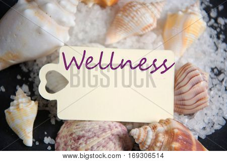 Shell with candle light and empty tag for wellness and relaxing concepts or massage advertising