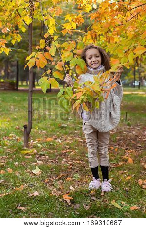 Beautiful little girl in white sweater posing in autumn Park near the tree the girl holds a tree branches in hands