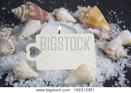 Shell with candle light and empty tag for wellness and relaxing concepts or massage advertising