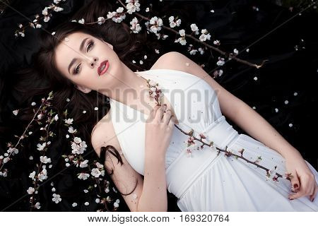 Spring beauty consept. Portrait of a fashionable model with curly brown hair sexy red lips lying on black background with spring trees blossoming branches and petals background. Studio portrait shot of gorgeous woman in white dress with perfect make-up se