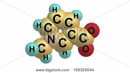 Trigonelline is an alkaloid with chemical formula C7H7NO2. It is a zwitterion formed by the methylation of the nitrogen atom of niacin or vitamin B3. 3d illustration