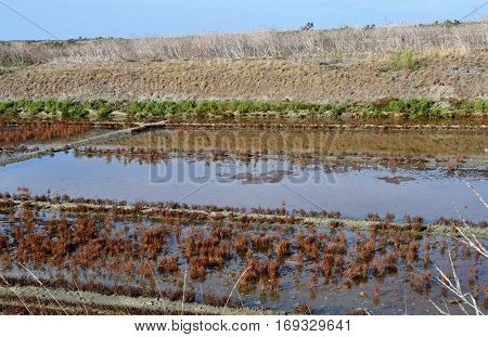 Loix France - september 26 2016 : the picturesque salt evaporation pond