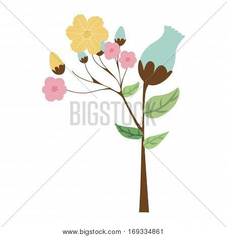 ramifications with flowers and leaves vector illustration