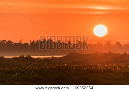Morning at a park near the Khong river in Bueng Kan district Thailand.