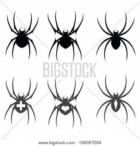 Vector set of symbols. Spiders on the white background. Icon black and grey