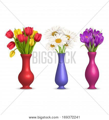 Flowers chamomiles tulips and crocuses in vases isolated on white