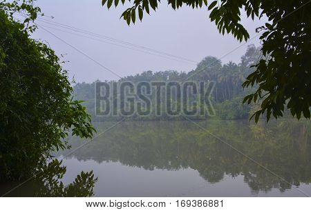 Foggy morning at Kunthi river Kerala South India