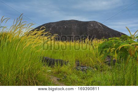 Beautiful landscape view of Elephant Rock viewpoint