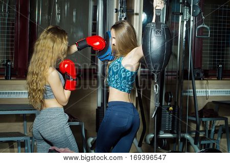 Two pretty girls or beautiful women cute sexy fit female boxers sparring partners in sportswear and red boxing gloves training to punch with punching bag in fitness gym