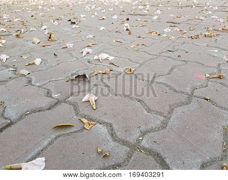 Pink flowers on concrete brick floor as background