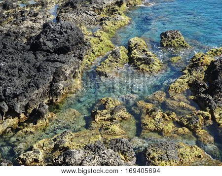 Landscape of the islanders of Formigas, Azores, Portugal