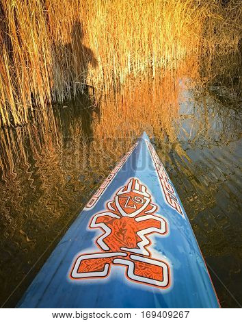 FORT COLLINS  CO, USA - NOVEMBER 13, 2016: Autumn lake paddling - a bow of stand up paddleboard by Starboard with a paddler shadow on reeds.