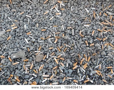 Cigarette Butt A Street Left By Unhealty People