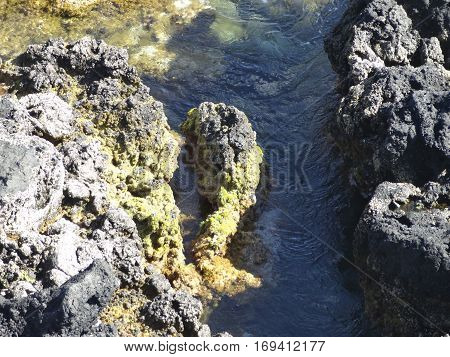 Landscape of the islanders of Formigas, Azores, Portugal