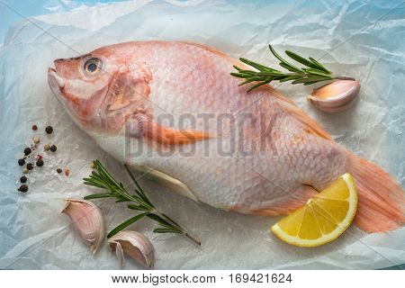 Fresh raw fish tilapia. Nile tiapia Oreochromis niloticus. Top view.