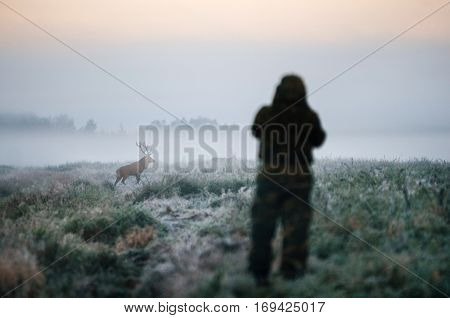 Hunter holding a rifle and aiming red deer prey in the mist hunter photoshooting at the morning.