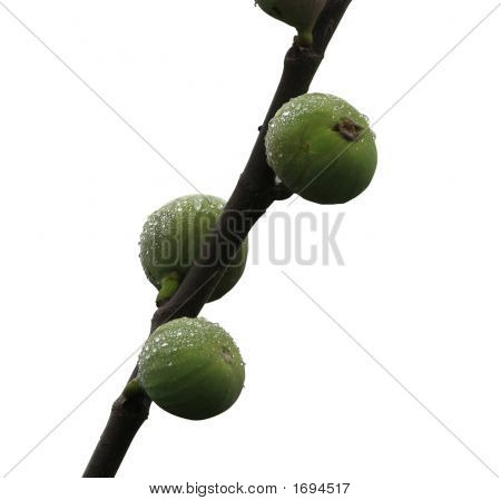 Fig.