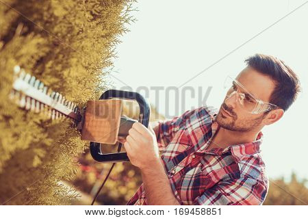 Hedge trimmingworks in a garden.Young gardener with a professional garden tools at work.