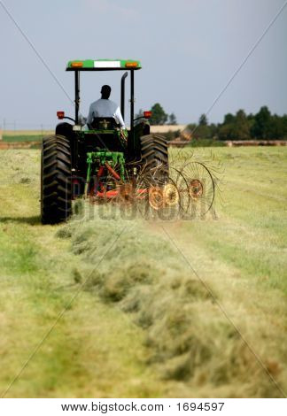 Gereblyézés fű, traktor