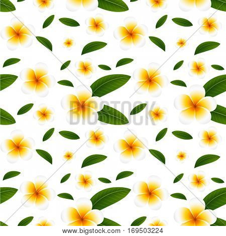Seamless background with white plumeria flowers illustration