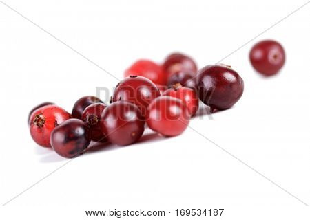 Cranberries on white background - studio shot