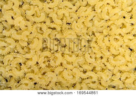 Raw macaroni - pasta Galetti closeup. Background texture.