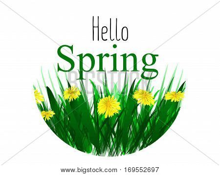 Yellow dandelions tsety. Spring sun vector illustration