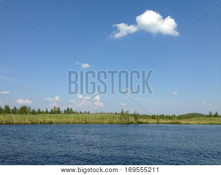 Lake shore on the background of blue sky with clouds. Landscape.