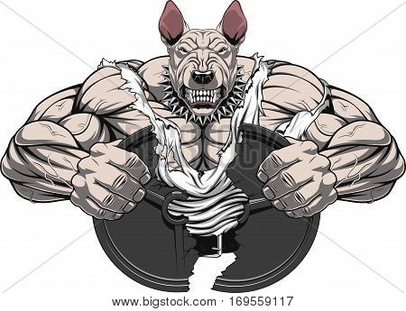 Vector illustration of a strong bullterrier with big biceps break barbell bodybuilder