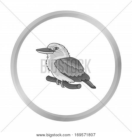 Kookaburra sitting on branch icon in monochrome design isolated on white background. Australia symbol stock vector illustration.