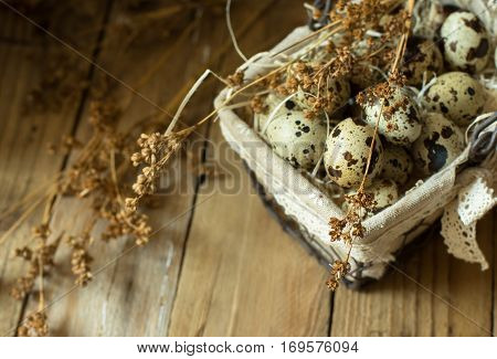 Quail eggs in a lined wire basket, beige dry flowers on barn wood background, Easter, rustic vintage style, kinfolk, simplicity, top view, close up