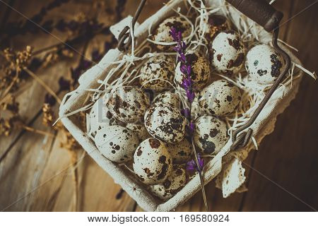 Quail eggs in a lined wire basket, on straw, with beige dry flowers and lavender twigs on barn wood background, Easter, rustic vintage style, kinfolk, top flat view, soft haze matte effect, close up