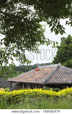Red tile roof of old private house in Okinawa