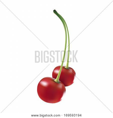 Isolated red cherry berry gradient mesh on white background