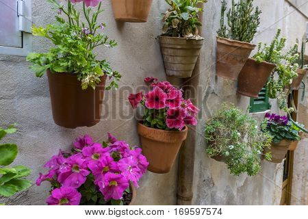 rustic, flowerpots street in the tourist island of Mallorca, Valdemosa city in Spain