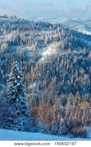 Winter Ukrainian Carpathian Mountains Landscape.