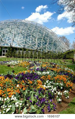 Saint Louis botanikus kert