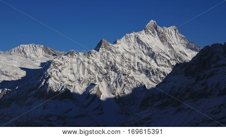 Winter scene in Grindelwald. Peak of mount Finsteraarhorn.