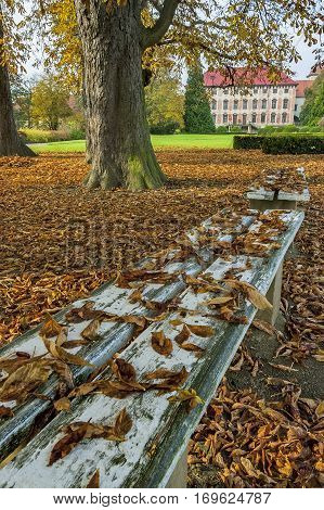 Autumn view of the baroque chateau Libochovice/Czech Republic