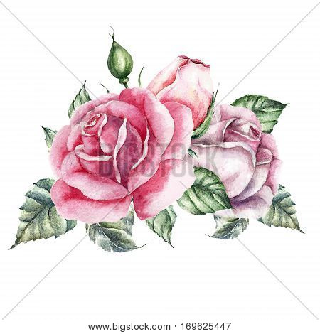 Watercolor roses elements set. Vintage petals leaves flowers and branches. Hand drawn design illustration. Watercolor wedding card.