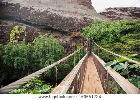 Swing brdige at the Menehune Ditch Kauai Hawaii
