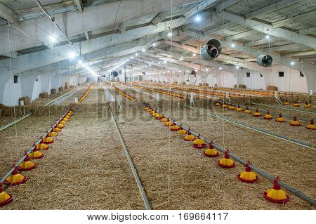 large poultry farm with the special equipment industry