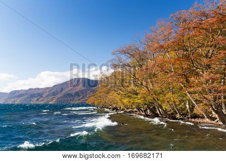 Lake Towada in autumn