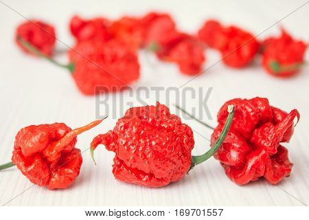 Super hot pepper carolina reaper